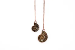 Ammonite fossil necklace | Fossil men's jewelry