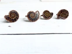 Ammonite fossil ring | Electroformed ring