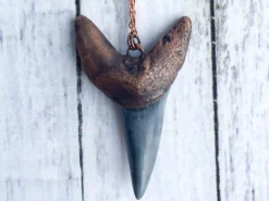 Large shark's tooth pendant | Electroformed copper shark tooth pendant