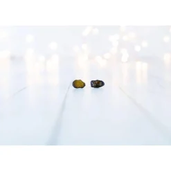 Raw Amber studs | Rough amber earrings