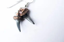 SALE Shark tooth earrings | Shark tooth fossil earrings