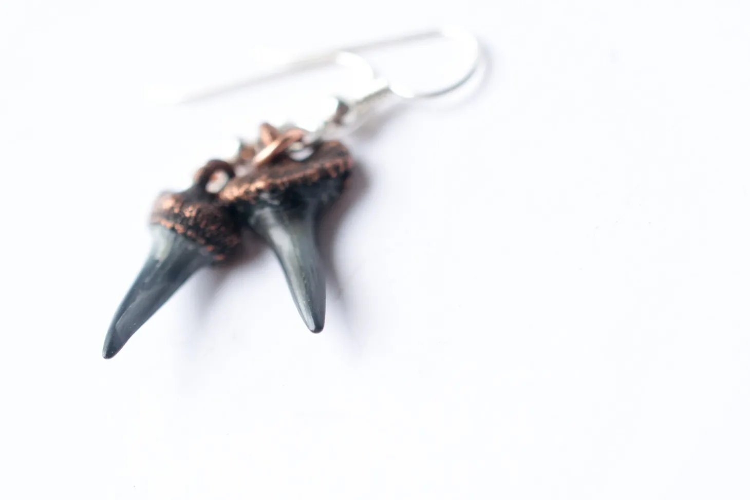 SALE Shark tooth earrings | Shark tooth fossil earrings