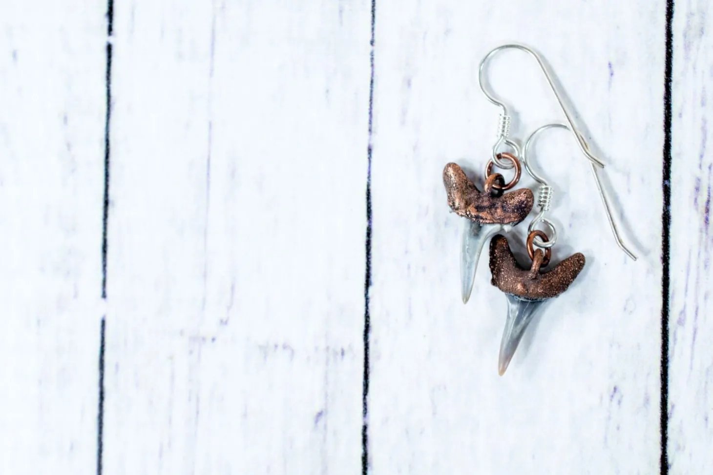 SALE Shark tooth earrings | Shark tooth fossil earrings