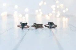 SALE Shark tooth ring | Sharkstooth ring
