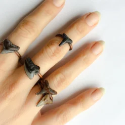 SALE Shark tooth ring | Sharkstooth ring