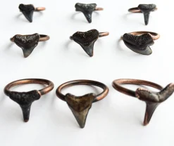 SALE Shark tooth ring | Sharkstooth ring