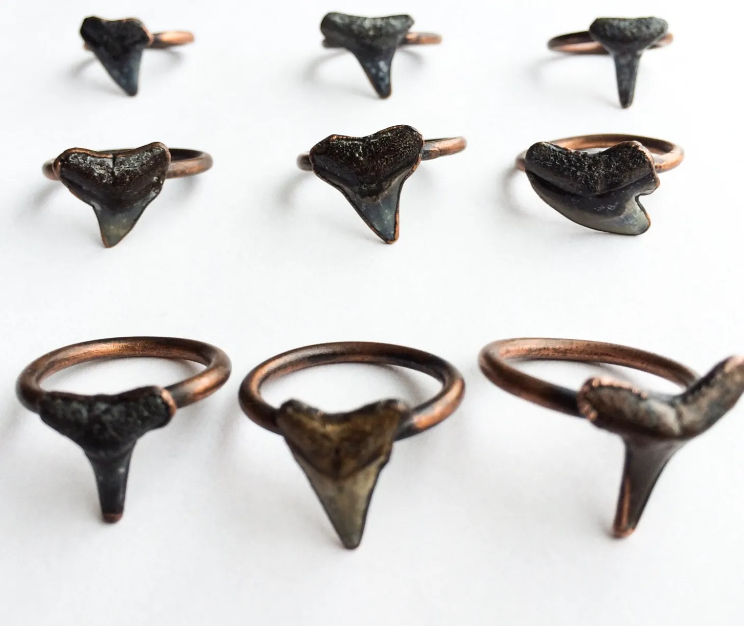 SALE Shark tooth ring | Sharkstooth ring