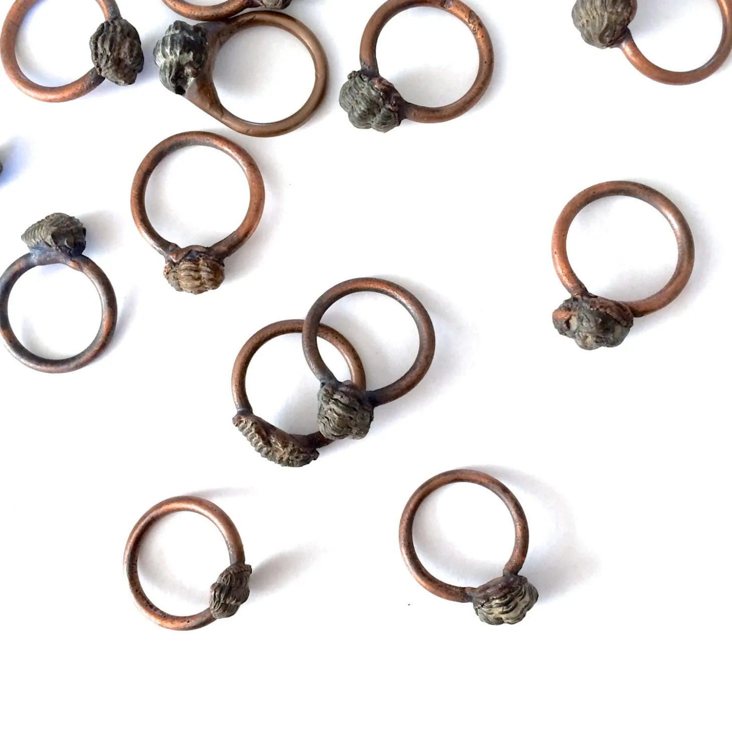 Trilobite fossil ring | Electroformed fossil jewelry