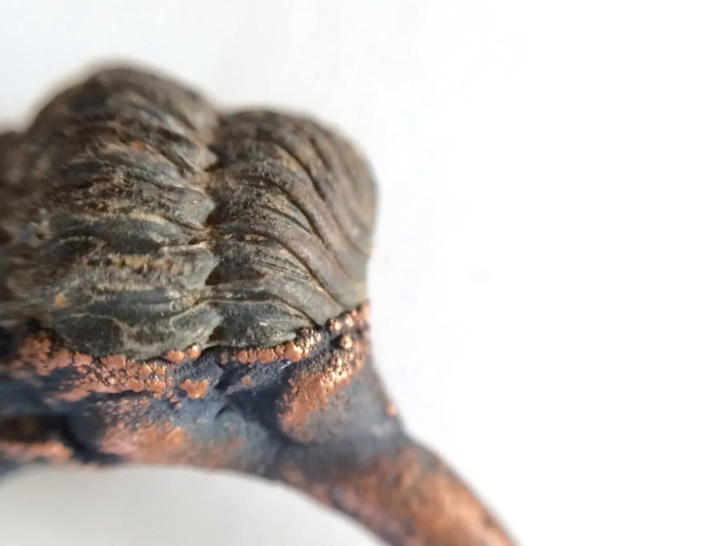 Trilobite fossil ring | Electroformed fossil jewelry